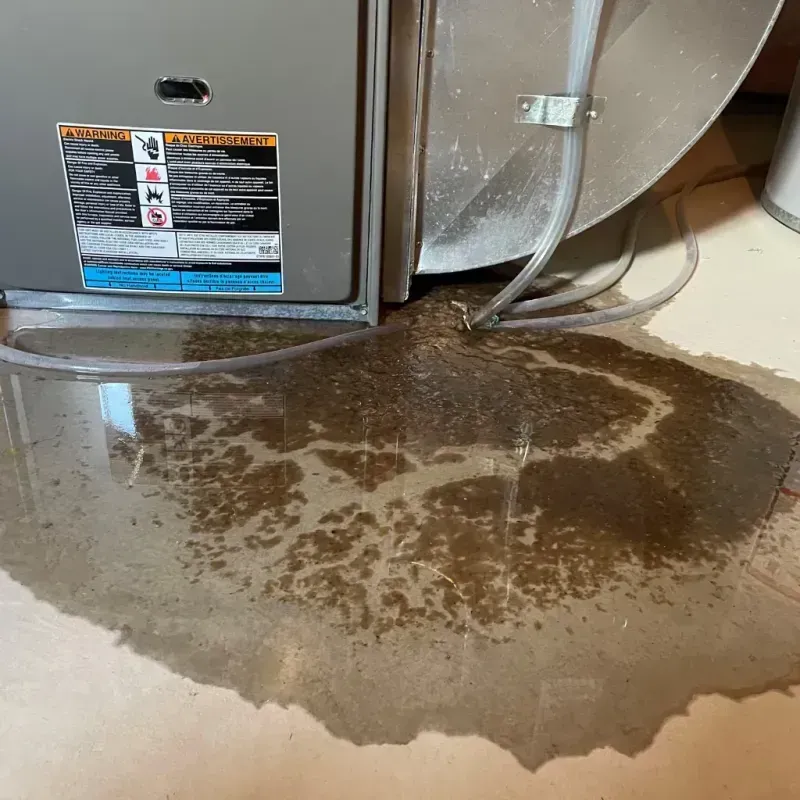 Appliance Leak Cleanup in Woodbine, IA